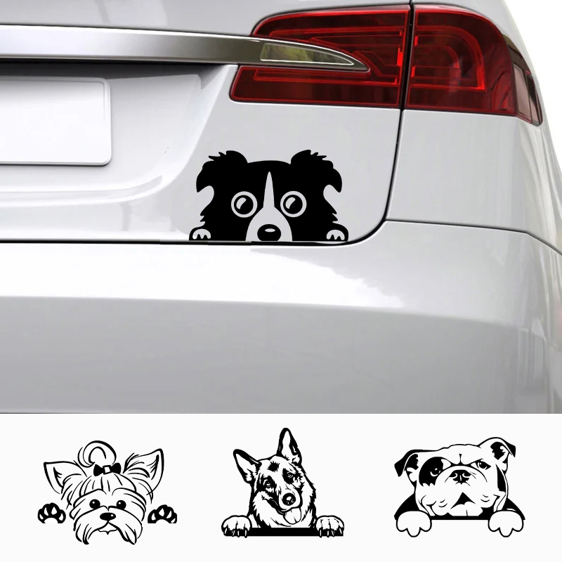 Cars Accessorie Decals Funny D - Laptop Accessories Price recensie en prijs