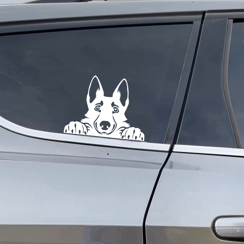 Cars Accessorie Decals Funny D - Laptop Accessories Price recensie en prijs