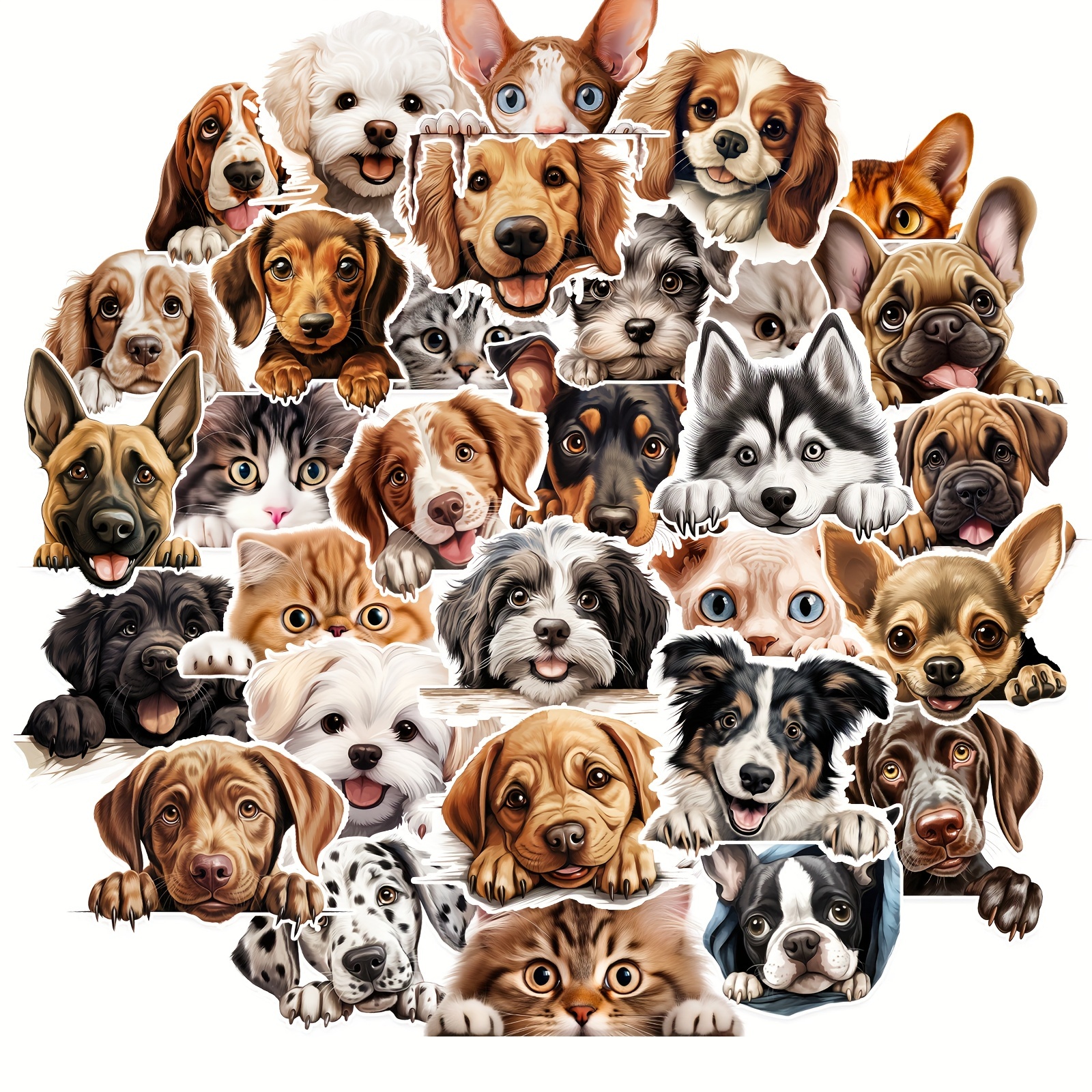 50pcs/Bag Fun Cat Dog Stickers - Laptop Accessories Organizer Bag recensie en prijs
